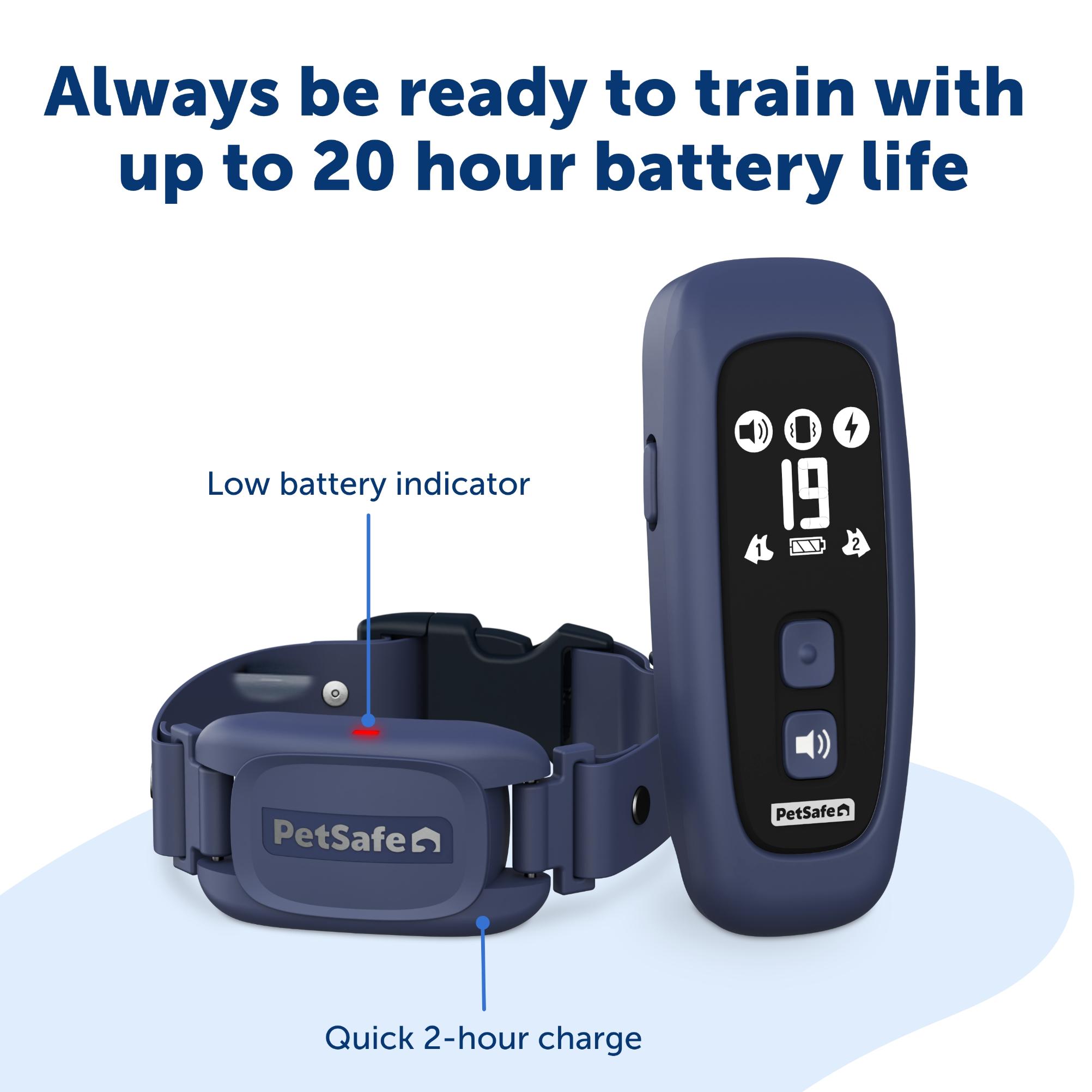 PetSafe Pro Dog Trainer with Remote